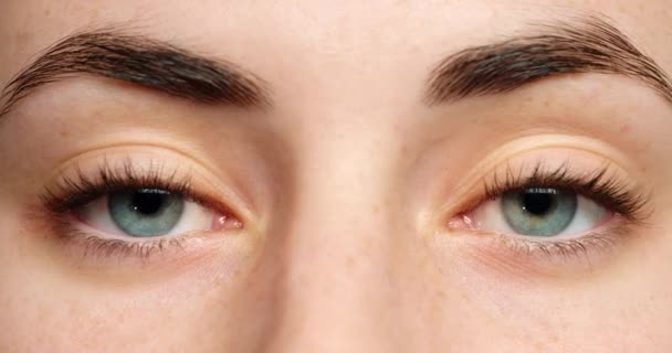 女人用面部放大眼睛 用视觉和美 用生物识别视力和用眨眼的动作思考 皮肤护理 眼部睫毛 隐形眼镜及宏观细节 同时考虑 — 图库视频影像