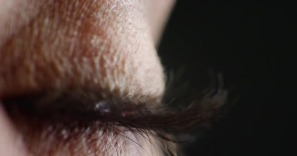 Yeşil Göz Kapat Görüş Mesafesi Görüş Desteği Için Stüdyonun Arka — Stok video