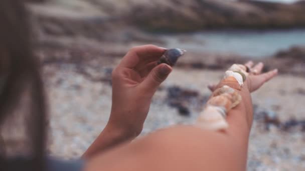 Hf18 Mãos Mulher Com Conchas Braço Praia Areia Oceano Relaxar — Vídeo de Stock