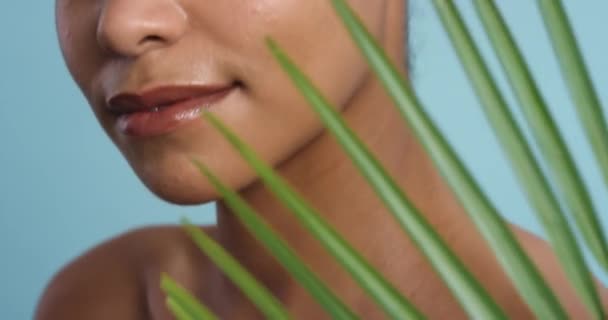 Be18 035 Skincare Health Black Woman Beauty Model Φύλλο Φυτό — Αρχείο Βίντεο