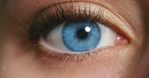 女性脸 蓝眼睛和视觉焦点 眼球和隐形眼镜看 视力和意识 肖像画面对宏观化妆品睫毛 验光和清醒的人体解剖学感知 — 图库视频影像