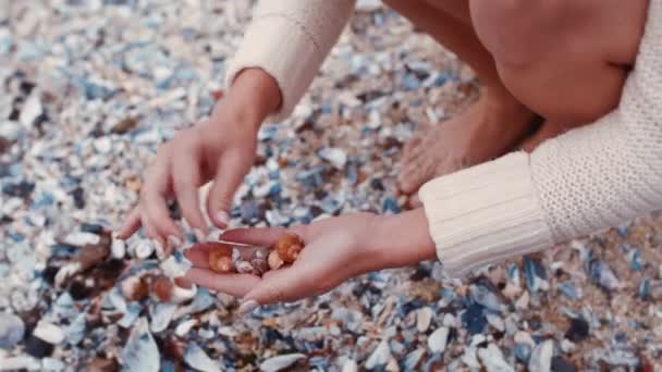 Yaz Tatilinde Eller Kadınlar Deniz Kabuğu Koleksiyonu Dişi Turist Kâşif — Stok video