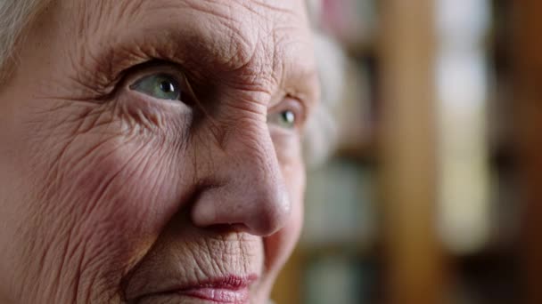 Knowledge Eyes Wrinkles Elderly Woman Face Thinking Memory Reminiscing Library — Stock Video