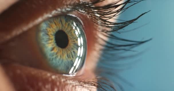 Makró Szem Látás Gondolkodás Jövőről Ötlet Betekintés Közelkép Zoom Kék — Stock videók