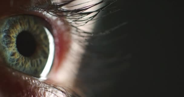 Karanlık Arka Planda Insan Göz Zumu Kadın Görüşü Optometri Sınavı — Stok video