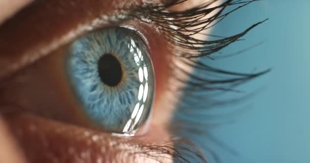 Cara Mulher Olhos Azuis Foco Visão Ideia Pensamento Lentes Contato — Vídeo de Stock