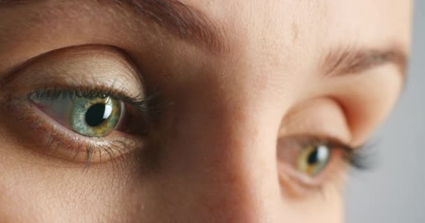 Oog Zicht Focus Met Groene Ogen Van Een Vrouw Bij — Stockvideo