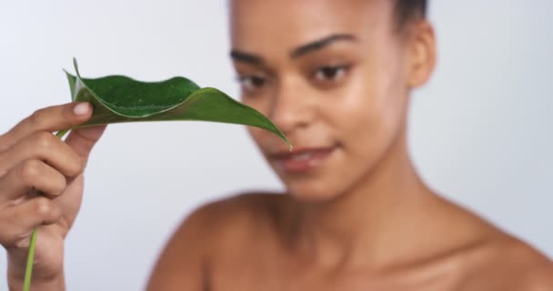 灰色の背景にスタジオで水分補給のための女性と葉を持つ美しさ 植物や水 笑顔と健康と健康のためのポーズを持つ若い女性モデルと自然なボディスキンケア — ストック動画