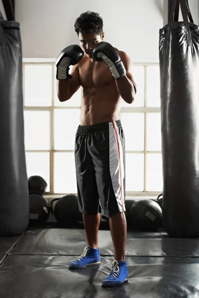 Está Dedicado Deporte Del Boxeo Retrato Guapo Joven Boxeador Pie —  Fotos de Stock