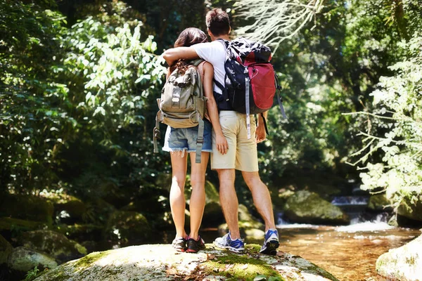 Awed Natures Beauty Rearview Shot Young Couple Hiking Forest — Stock Photo, Image