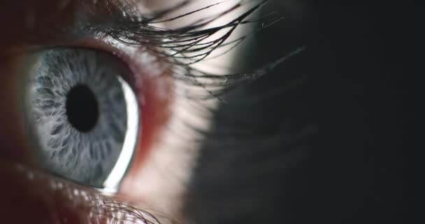 Auge Der Frau Überwachungsvision Menschlich Und Biometrischer Zoom Auf Die — Stockvideo