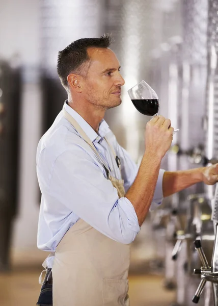 Qualitätskontrolle Ein Gereifter Winzer Testet Eine Charge Seines Rotweins — Stockfoto