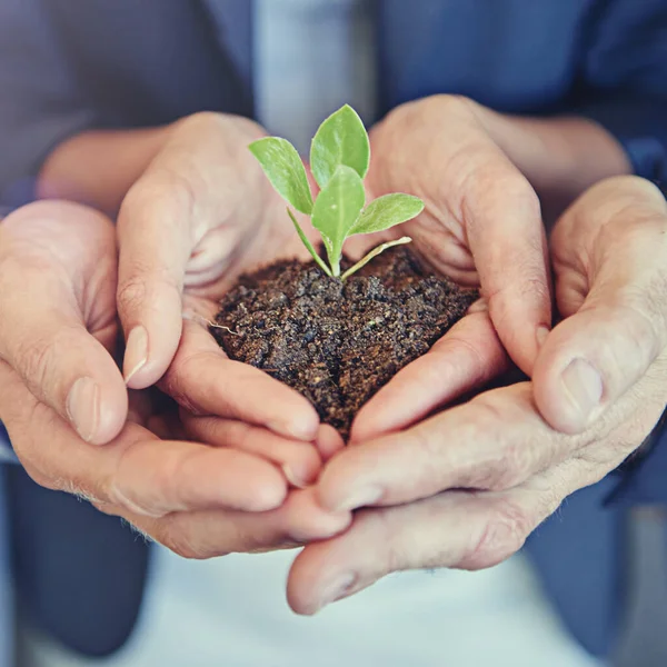 Were Together Closeup Shot Young Plant Soil Being Held Group — Stock Photo, Image