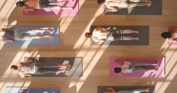 Йога Упражнения Вид Сверху Женщин Дзен Расслабиться Тренировки Здоровья Энергии — стоковое видео