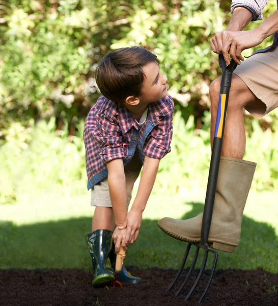Працюючи Разом Маленький Хлопчик Його Тато Працюють Разом Саду — стокове фото