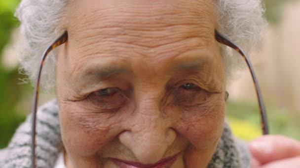 Обличчя Старшої Жінки Окулярах Допомоги Зору Підтримки Допомоги Окулярах Або — стокове відео