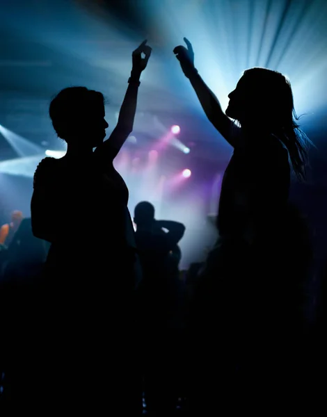 two women enjoying the music at a concert. This concert was created for the sole purpose of this photo shoot, featuring 300 models and 3 live bands. All people in this shoot are model released