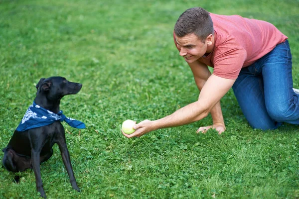 Encanta Buen Juego Atrapar Joven Jugando Con Perro Aire Libre — Foto de Stock