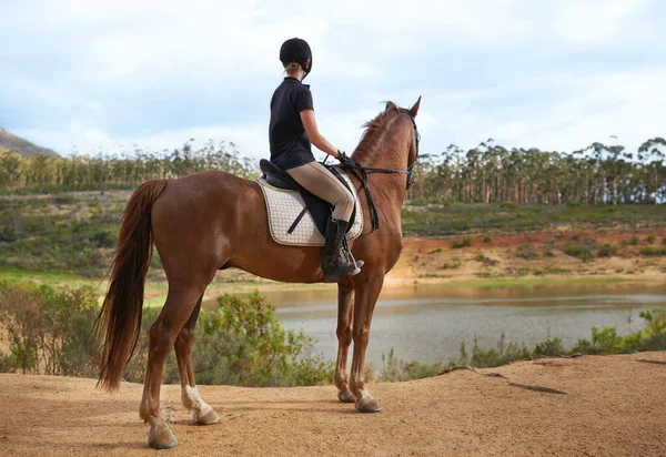 馬に乗って自然を体験する 栗の馬に乗りに行く若い女性 — ストック写真