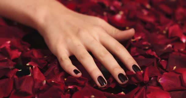 Kobieta Manicure Ręce Lub Płatki Czerwonej Róży Studio Spa Self — Wideo stockowe