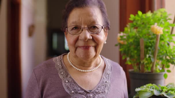 Χαρούμενη Ηλικιωμένη Γυναίκα Συνταξιοδότηση Και Χαμόγελο Γυαλιά Ένα Θολό Φόντο — Αρχείο Βίντεο
