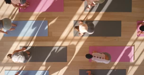 Yoga Pilates Meditación Gimnasio Con Personas Una Clase Fitness Para — Vídeos de Stock