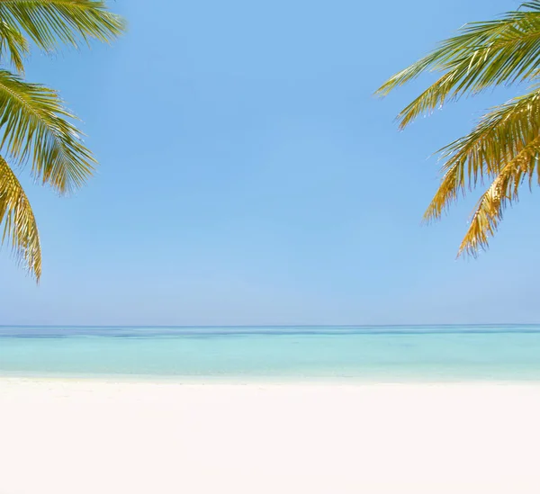 地球上で最も美しい場所です 牧歌的な熱帯のビーチの風景のショット — ストック写真