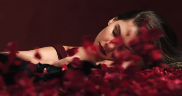 Láska Krása Sexy Žena Růžemi Okvětními Lístky Romantikou Pro Valentinky — Stock video