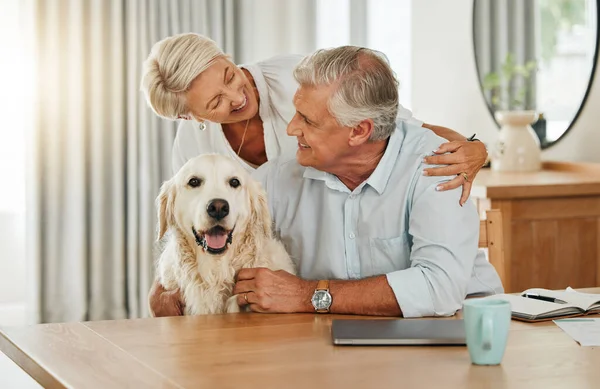 Love, pet and senior couple with dog relax at home bonding, playing and spend quality time together. Retirement life, smile and happy elderly man, woman or family enjoy peace with domestic animal.