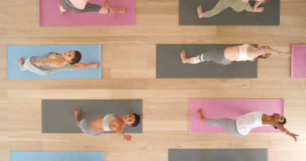 Classe Mulheres Fazendo Ioga Pilates Exercício Alongamento Treino Para Saúde — Vídeo de Stock