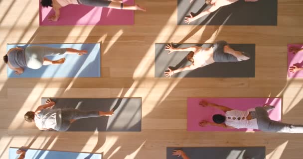 Entrenamiento Yoga Vista Superior Guerrero Fitness Ejercicio Bienestar Posan Gimnasio — Vídeos de Stock