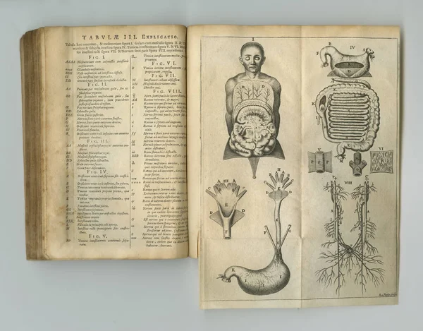 Biologisch Dagboek Van Gisteren Een Oud Anatomieboek Met Tentoongestelde Pagina — Stockfoto