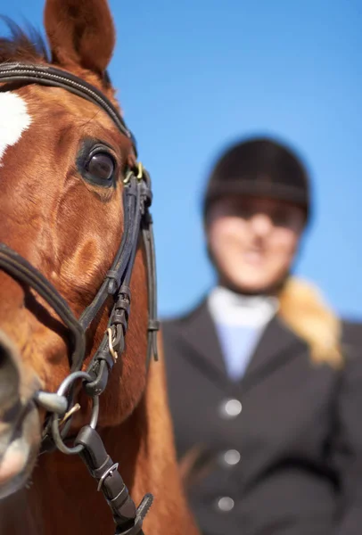 Chomping Bit Beskuren Närbild Skott Häst Med Sin Ryttare Monterad — Stockfoto