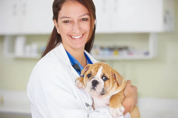 Love Job Portrait Smiling Female Vet Holding Puppy — Stock Photo, Image