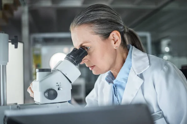 Mulher Cientista Microscópio Num Laboratório Pesquisa Com Análise Médica Médico — Fotografia de Stock