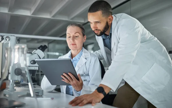 Trabajo Equipo Científico Tableta Científico Análisis Investigación Digital Investigación Verificación — Foto de Stock