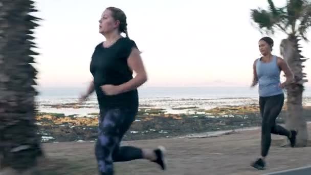 운동이나 운동을 위하여 달리기 감량등을 여자들이 체중을 줄이거나 활동적 친구들 — 비디오