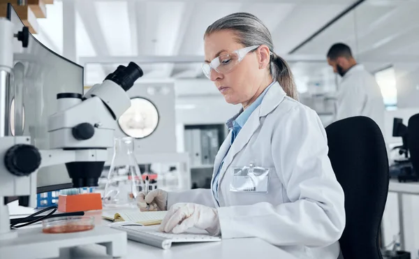 Laboratorium Mikroskop Kobieta Wpisujące Komputerze Dane Medyczne Wyniki Badań Płytek — Zdjęcie stockowe