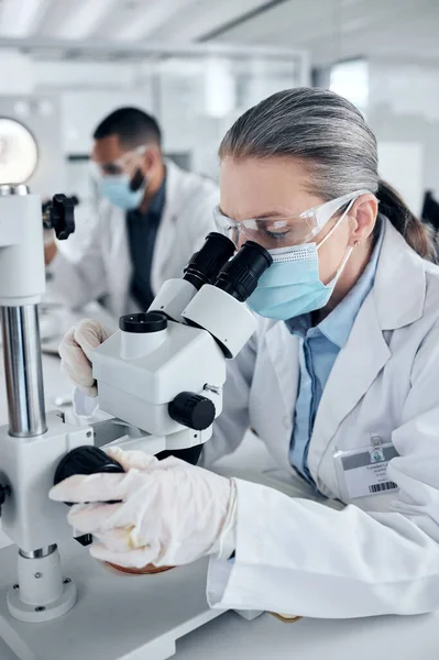 研究室での科学研究開発やテストのための顕微鏡とパイプを持つ革新 Covidと科学者の女性 医療のためのサンプルを研究するバイオテクノロジー分析の専門家労働者 — ストック写真