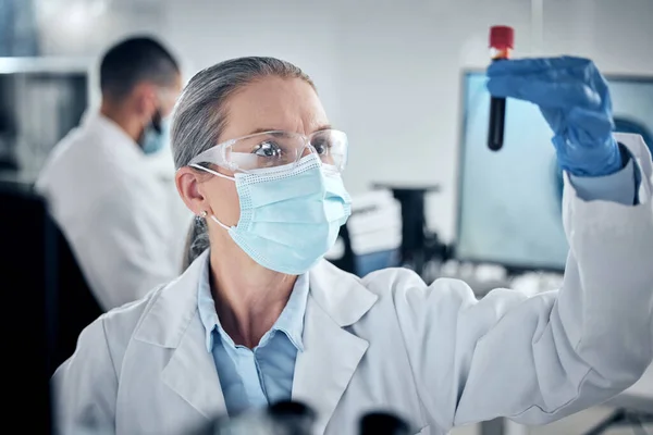 Bluttest Laborforschung Und Wissenschaftler Die Der Wissenschaftlichen Entwicklung Des Gesundheitswesens — Stockfoto