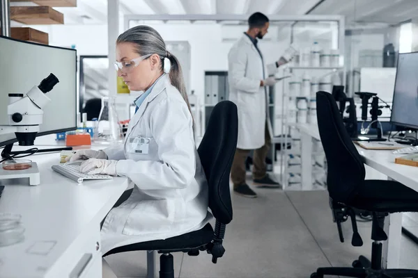 Laboratorní Žena Mikroskop Nebo Počítačové Psaní Výzkumu Rakoviny Lékařské Zdravotní — Stock fotografie