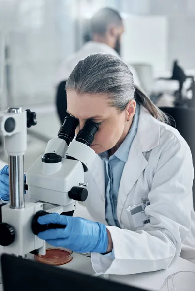 Nauka Badania Mikroskop Kobietą Laboratorium Pracującym Nad Rozwojem Medycyny Szczepionki — Zdjęcie stockowe