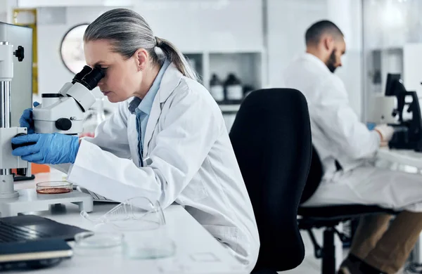 Mulher Laboratório Microscópio Pesquisa Médica Amostra Vívida Biopsia Câncer Análise — Fotografia de Stock