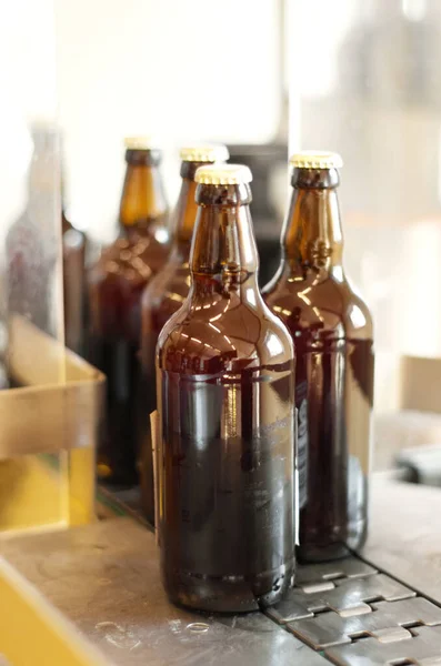 Vynikající Nový Nápoj Láhve Piva Výrobní Lince Pivovaru — Stock fotografie