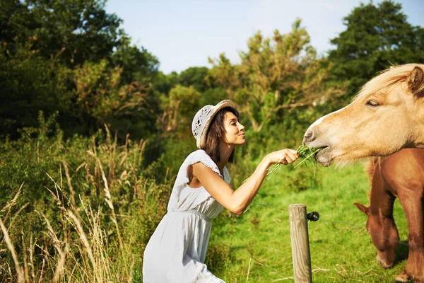 自然に戻るんだ 農場で馬に餌をやる若い女性 — ストック写真