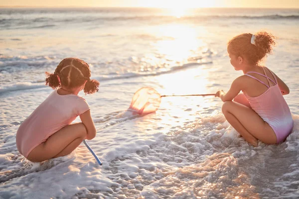 Children Girls Fishing Nets Beach Playful Fun Summer Vacation Outdoors — Stock Photo, Image