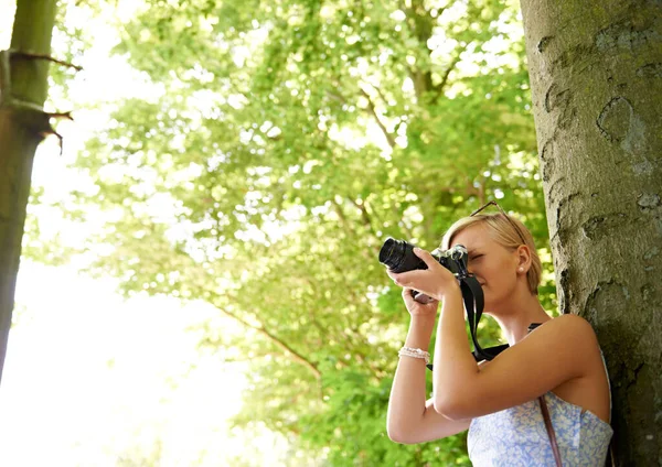 Die Natur Mit Der Kamera Festhalten Eine Attraktive Junge Frau — Stockfoto