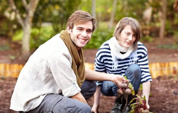 Fiers Leur Première Récolte Jeune Couple Récoltant Des Légumes Dans — Photo
