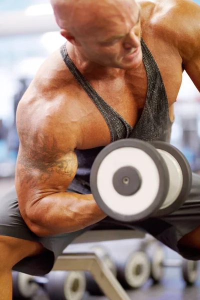 Hard Trainen Beste Zijn Een Mannelijke Bodybuilder Doet Hamer Krullen — Stockfoto