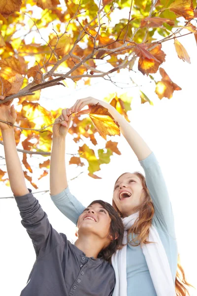 秋の楽しみ 秋の葉に触れるために手を伸ばす兄と妹 — ストック写真